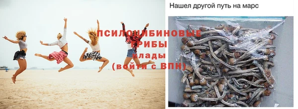 тгк Ростов