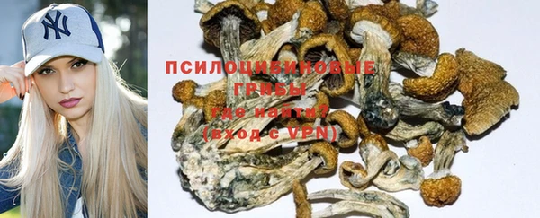 a pvp Белокуриха