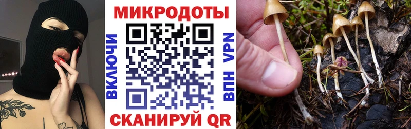Псилоцибиновые грибы мухоморы  мега зеркало  Шенкурск  как найти закладки 